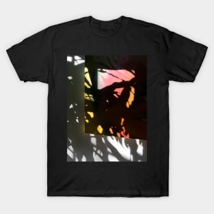 Shadow Painting 03aX T-Shirt